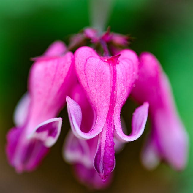 Comprehensive Product Inventory