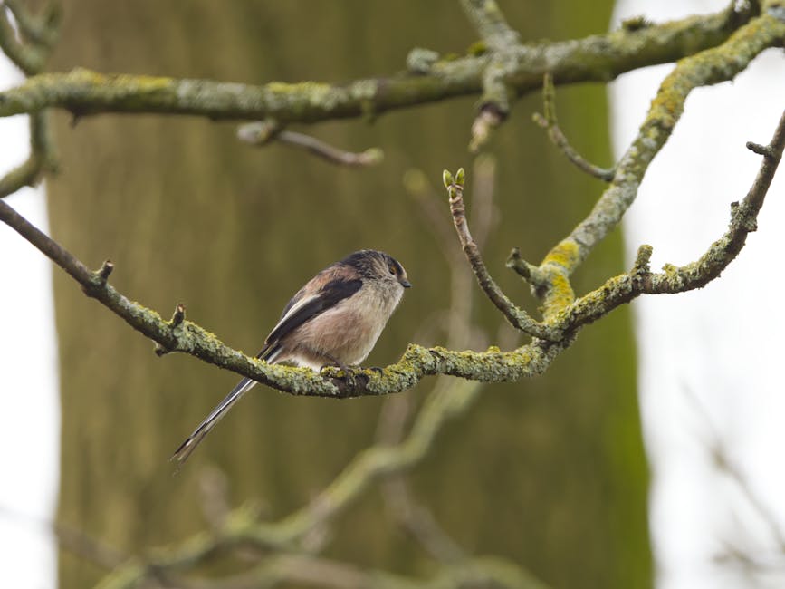 Latest Inventory Additions